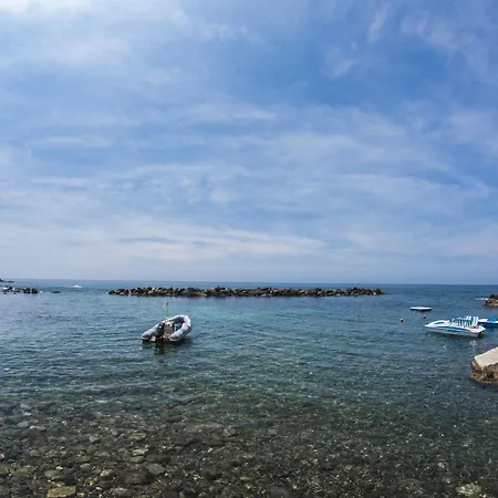 Rex Livorno